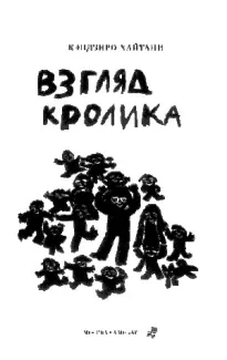 Взгляд кролика