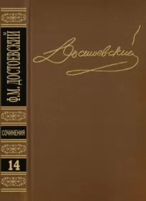 Том 14. Дневник писателя 1877, 1880, 1881